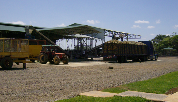 dole refrigeration system for the pineapple producers